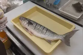 长在大海里的草鱼，这种鱼肥的时候特别香！视频封面