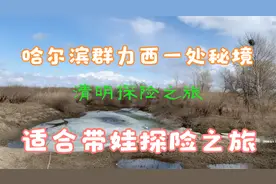 哈尔滨群力西一处秘境，适合带娃探险之旅