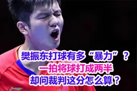 樊振东打球有多“猛”？一拍将球打成两半,却问裁判这分怎么算？