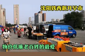 沈阳铁西新开早市，物价低廉接地气，这才是老百姓喜欢的市场视频封面