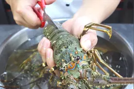 大厨分享龙虾最鲜的做法‘水煮小青龙’又鲜又甜，制作超级简单
