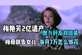 梅艳芳2亿遗产赠与好友刘培基，梅母状告女儿：每月7万怎么够花视频封面
