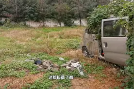 面包车都有啥一起来看看都长草了