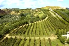 不知则问，不能则学，虽能必让，然后为德——《荀子·非十二子》