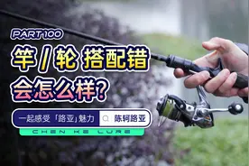 纺车轮搭配枪柄竿？水滴轮搭配直柄竿？会出现什么情况？