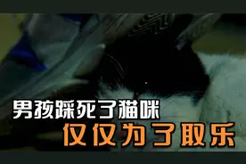 男孩将猫咪从18楼丢下。最后又将它踩死
