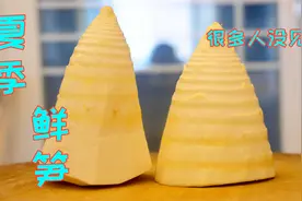 四川这种竹笋真奇怪，夏季才有但总发苦涩口，有知道怎么回事的吗视频封面