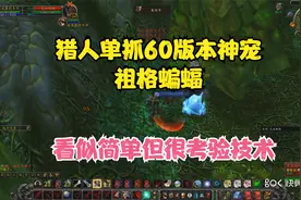 怀旧服猎人祖格单抓神宠蝙蝠 单抓过程简单实用