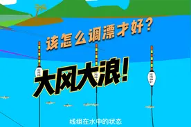 新手野钓时，有风浪，水面起伏太大的水域该怎么调掉呢？视频封面