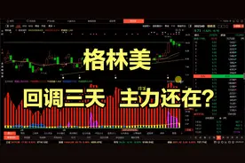 A股：格林美短期回调，后期机会风险如何？#格林美#后续跟踪！视频封面