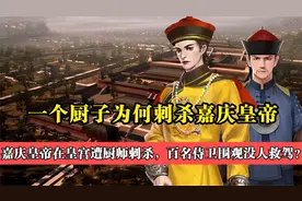 内有厨子行刺，外有白莲教起义造反起事，嘉庆皇帝位置也不好坐视频封面