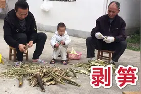 竹笋太多了，20分就拔了两大袋，东哥教你这样剥笋，比脱衣服还快视频封面
