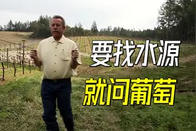 手持铜棒询问葡萄，就能找到水源？揭秘生物感应式地下定位法视频封面