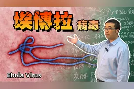恐怖的埃博拉病毒是从哪里来的?人类对付病毒最有效的方法是什么?