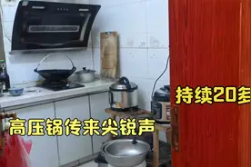 惊险一刻！家用高压锅突然传来刺耳的尖锐声，声音持续了20几分钟视频封面