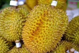 超市买榴莲时，教你4招，挑出“好榴莲”，皮薄肉厚，一挑一个准