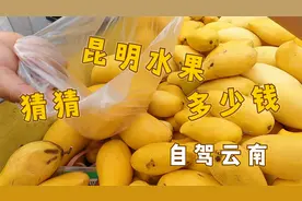 自驾云南，昆明的水果当饭吃，猜猜这里的水果多少钱？视频封面