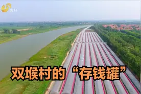 从村集体负债30万的落后村，到年盈利300多万，这位村书记了不起视频封面