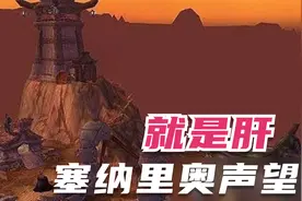 【魔兽世界怀旧服】肝塞纳里奥声望难，尤其是这几个精英任务最坑