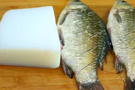 把凉粉和鲫鱼一起做，原来会这么好吃，一点腥味没有还特别下饭