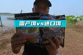国产饵料和进口饵料对比，看完水下测试，钓友们会如何选择