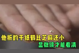 他折的千纸鹤比芝麻还小，直径只有2毫米，显微镜才能看清视频封面