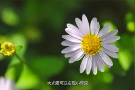 简单易学，5个必备摄影小知识，你可别错过