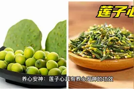 莲子心泡水喝有什么功效与作用