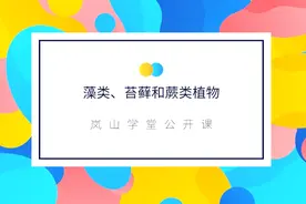第三单元第一节藻类、苔藓和蕨类植物