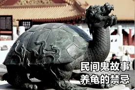 民间鬼故事《养龟的禁忌》视频封面