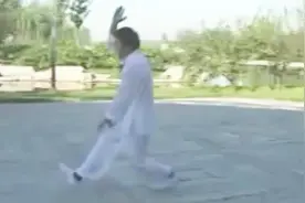 通背拳传人演练的白猿通背拳六趟拆拳，功夫扎实！