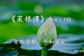 《菜根谭》（概论）132：自然淳朴，平和安定。视频封面