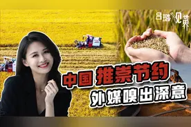 杜绝极端情况被卡脖子！外媒承认中国未雨绸缪，节约粮食另有深意视频封面
