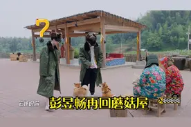 彭昱畅再回蘑菇屋：小H小O装麋鹿迎接邓超陈赫，彭彭：指狗为鹿啊