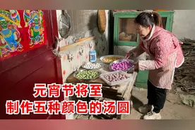 元宵节将至，宝妈买食材，制作五种颜色的汤圆，给孩子和公婆尝尝