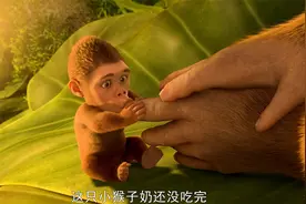 瘦弱的就该拿去喂狼，强壮的就留下称王！这赤裸裸的森林法则