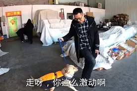 胖妞舍不得老表回家，分别前腻歪的不得了，长本事学会抢薯条吃了