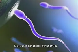 很多人好奇，女生是怎么怀孕的，你知道吗视频封面