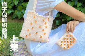 拜托了毛线 钩针编织橘子斜挎包 橘子手提包 手把手教程 新手可学视频封面