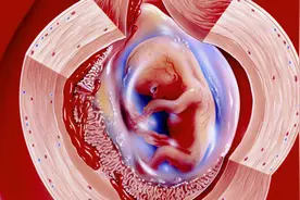 怀孕后流产方法有哪些？哪种流产对身体最好？视频封面