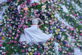 印度中字歌舞《刺激》：Hangover