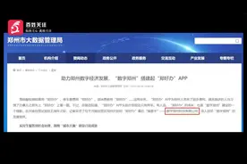 起底一河南健康码APP幕后操盘公司：曾检查为不合格被要求整改视频封面