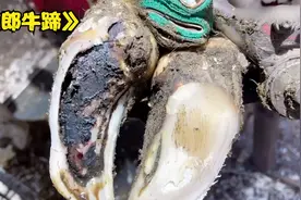牛蹄内部发黑溃烂，师傅一层层解开神秘面纱，原来这才是病因！