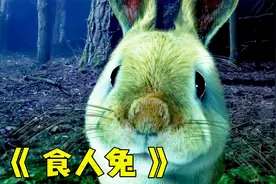 诡计多端的兔子，利用可爱的外表，趁机吃掉人类，惊悚电影视频封面