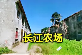 重返上海崇明岛上八大农场之一“长江农场”感受时代变迁