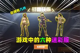 游戏中那些非常稀有的迷彩服，你拥有几套，其中野性山猫最稀有