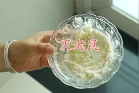 家里进了老鼠不要慌，只需一个简单方法，来多少灭多少，涨知识视频封面