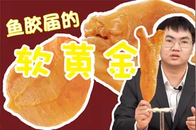 素有“软黄金”之称，品鉴燕窝先生讲5大名胶之一的赤嘴鳘鱼胶！视频封面