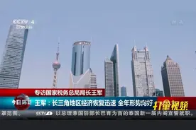 专访国家税务总局局长王军|今日环球视频封面