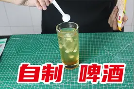 用四种原料就可以在家自制啤酒？小伙亲测真的会好喝吗？视频封面